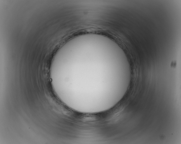 X0000115530653200911061128