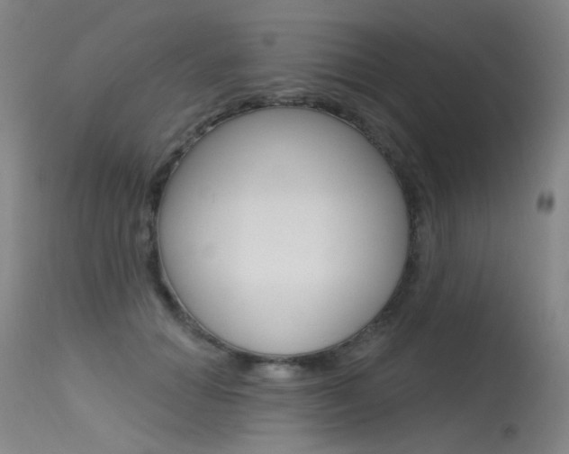 X0000115530654200911061128