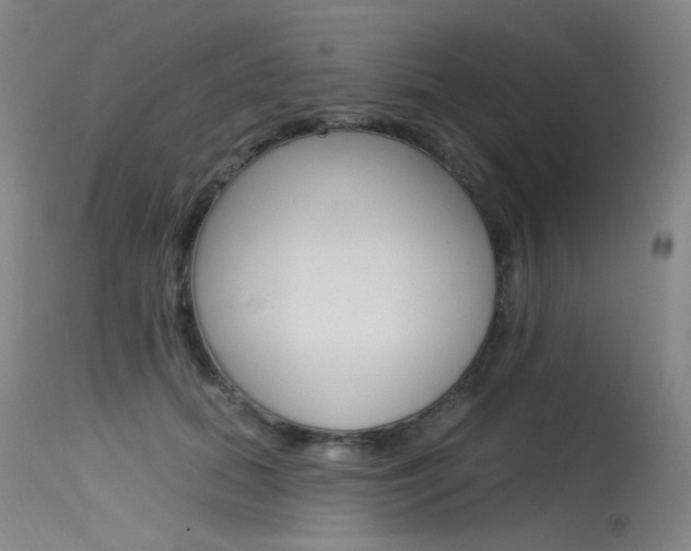 X0000115530655200911061128