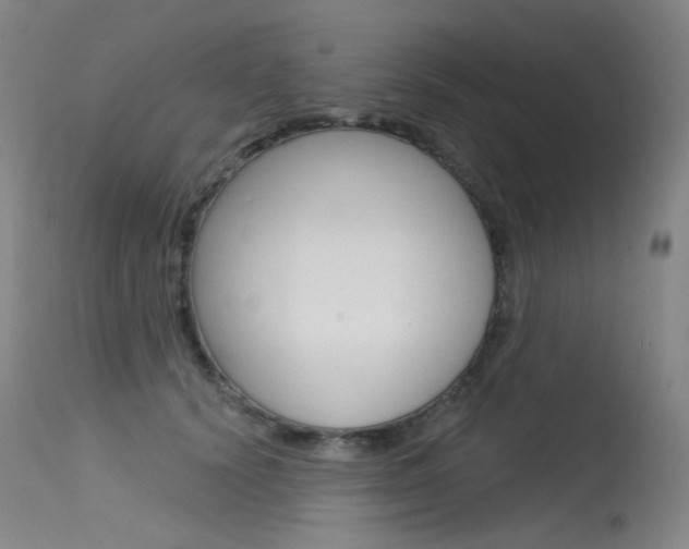 X0000115530656200911061128