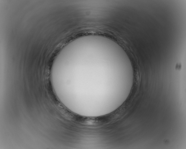 X0000115530657200911061128