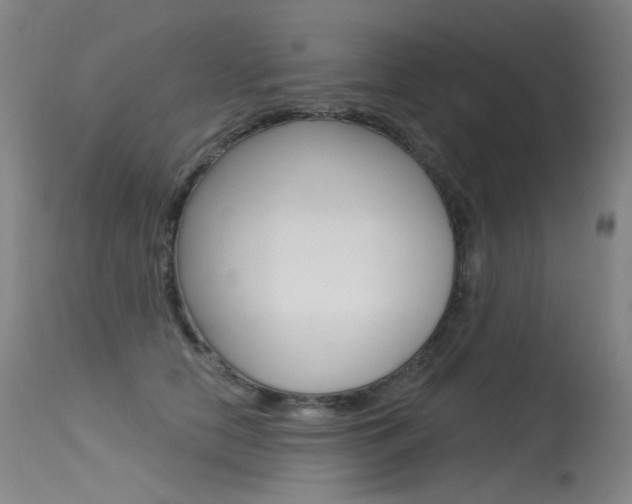 X0000115530658200911061128