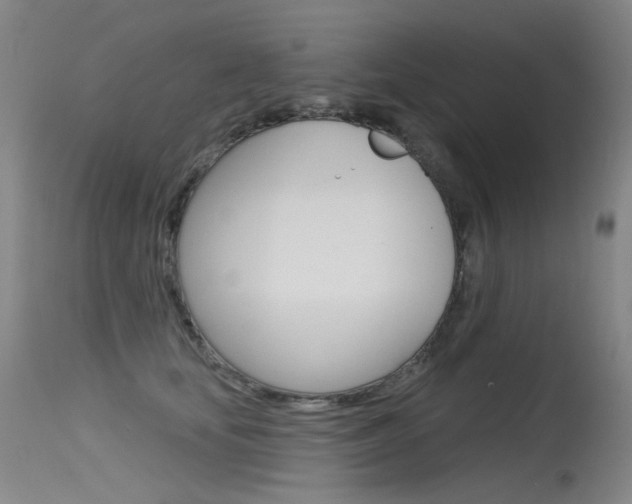 X0000115530659200911061128