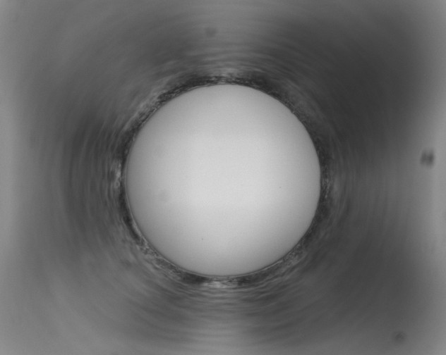 X0000115530660200911061128