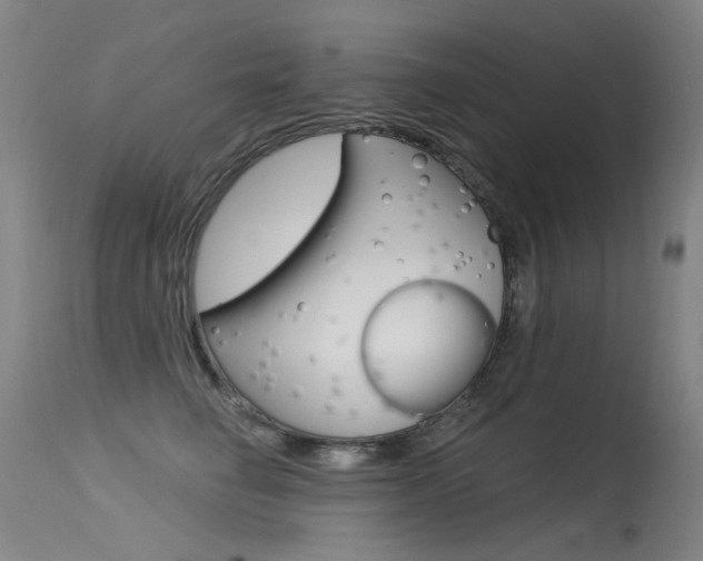 X0000115530662200911061128