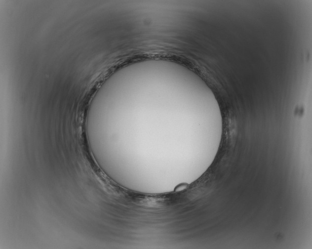 X0000115530664200911061128