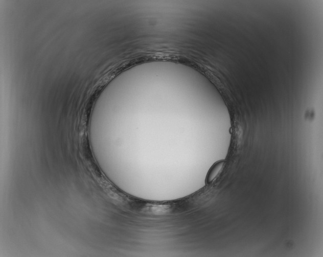 X0000115530665200911061128