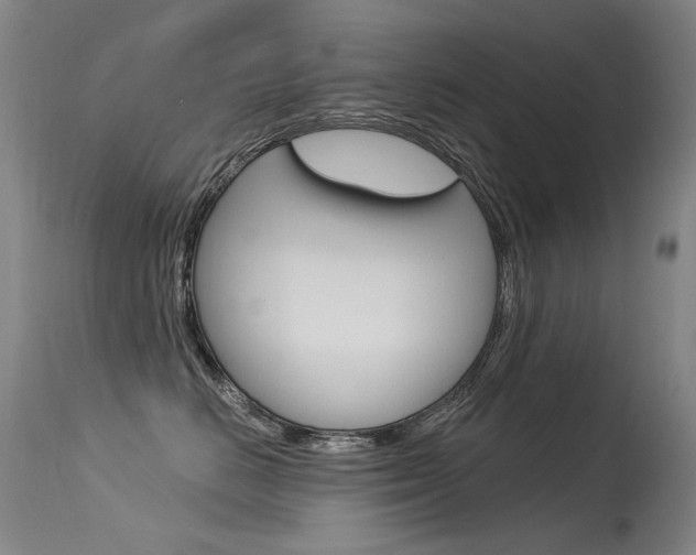 X0000115530670200911061128