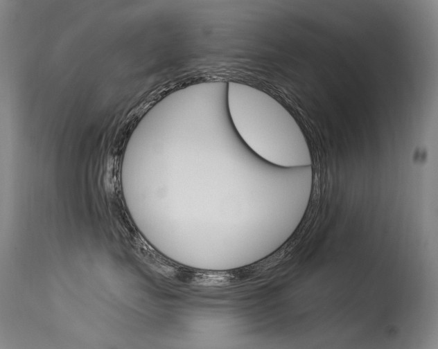 X0000115530671200911061128