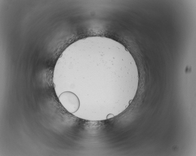 X0000115530672200911061128