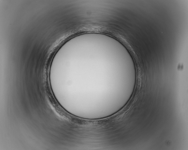 X0000115530674200911061127