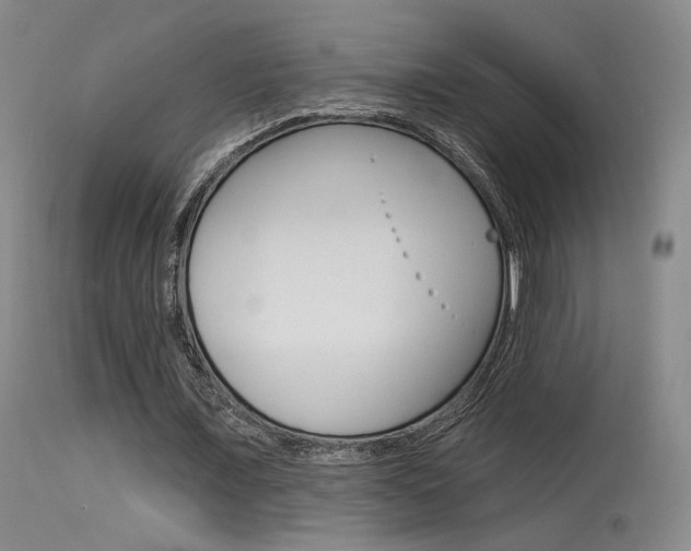X0000115530675200911061127