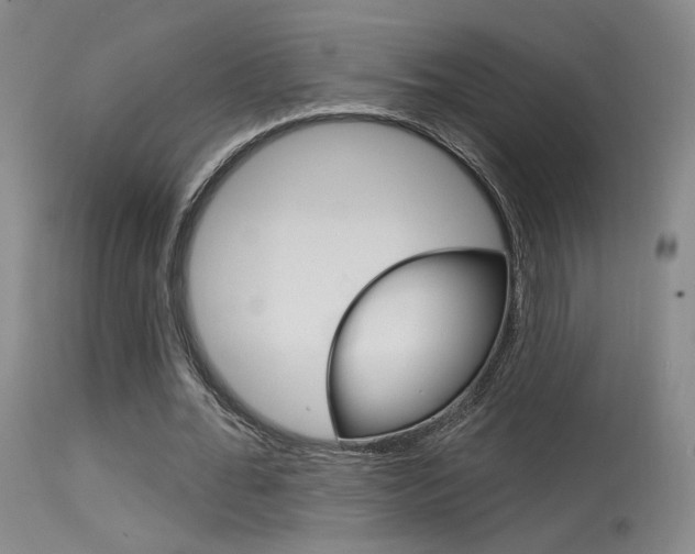 X0000115530676200911061127