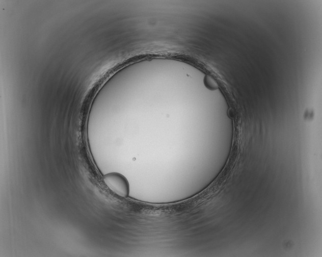 X0000115530679200911061127