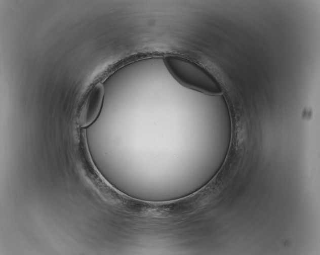 X0000115530680200911061127