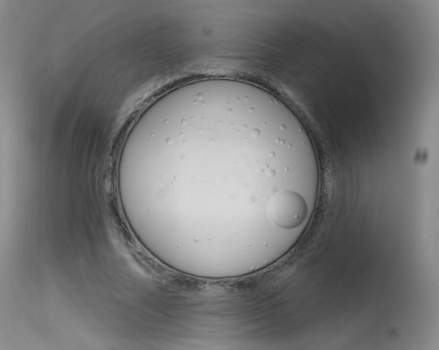 X0000115530682200911061127