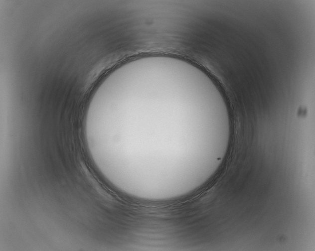 X0000115530685200911061127