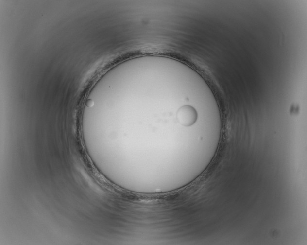 X0000115530686200911061127