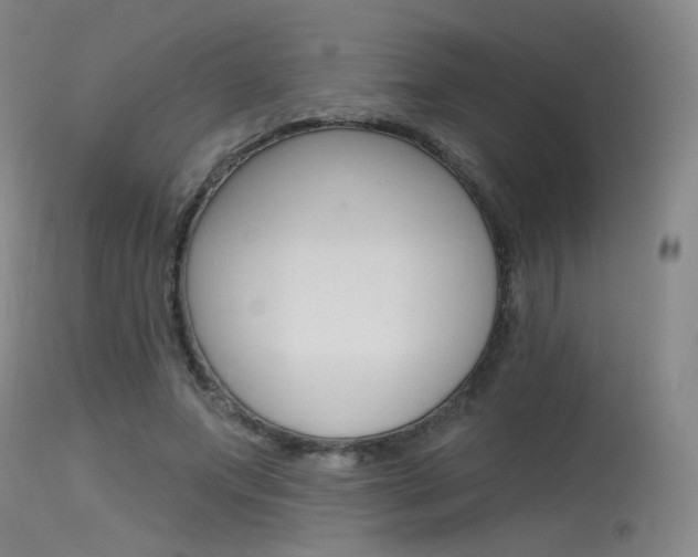 X0000115530687200911061127