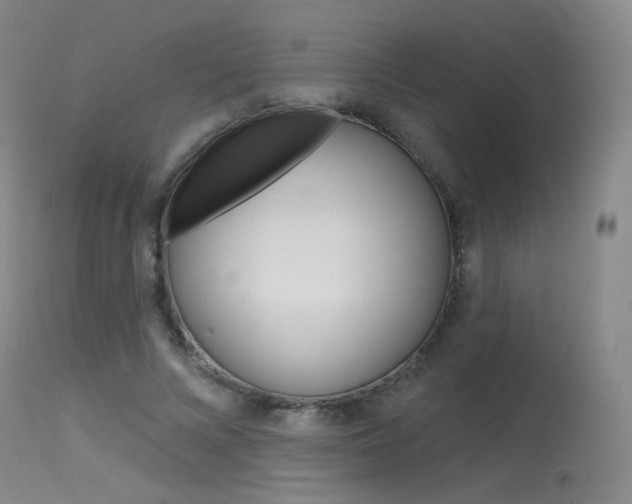 X0000115530688200911061127