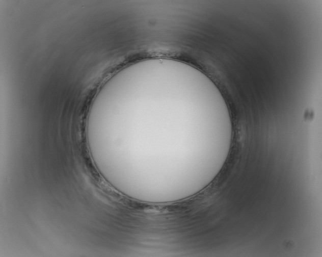 X0000115530690200911061127