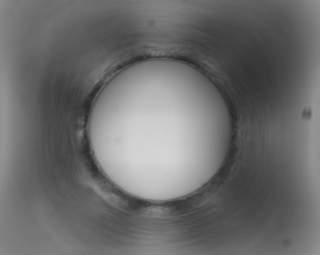 X0000115530691200911061127