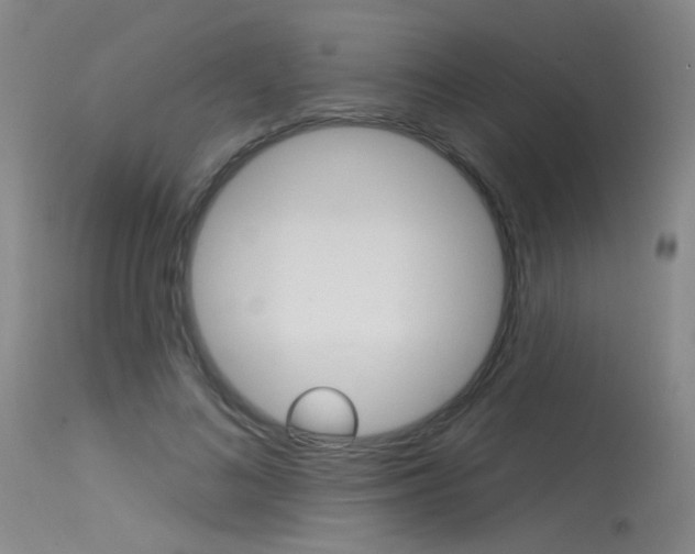 X0000115530692200911061127