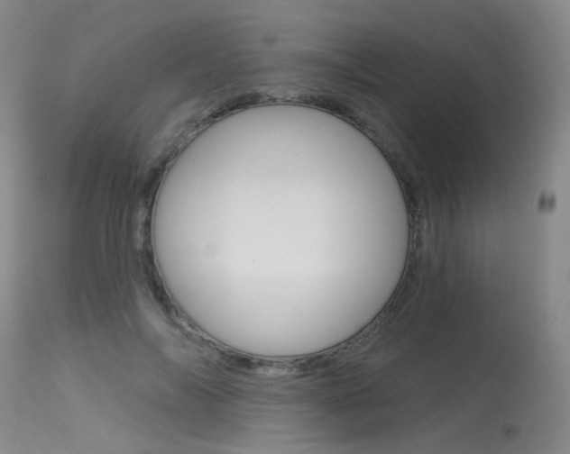 X0000115530694200911061127