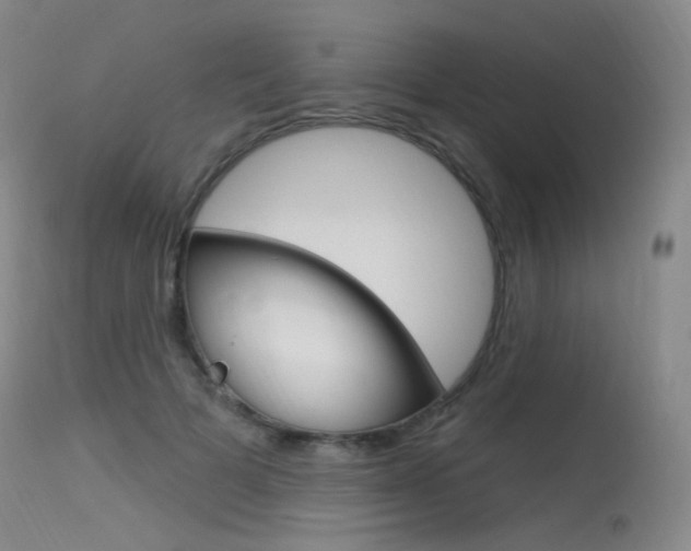 X0000115530697200911061127