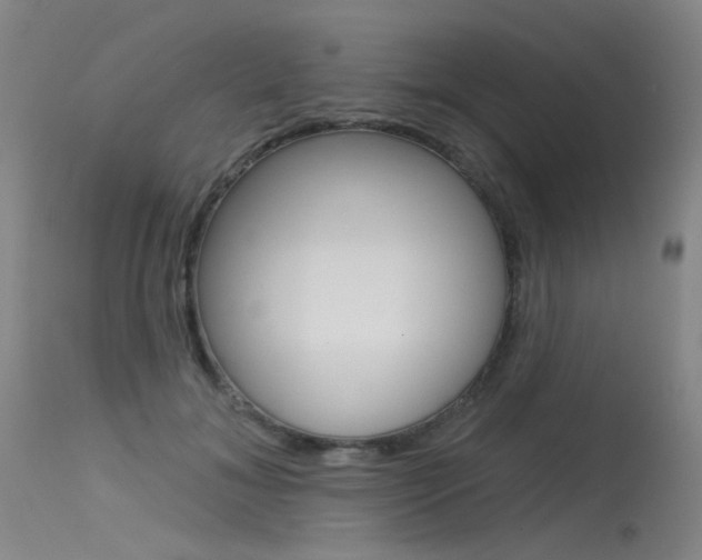 X0000115530700200911061127