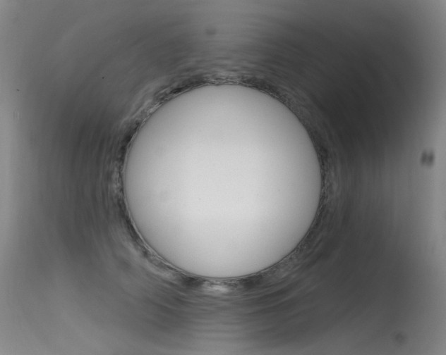 X0000115530706200911061127