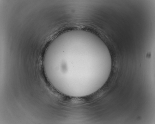 X0000115530707200911061127