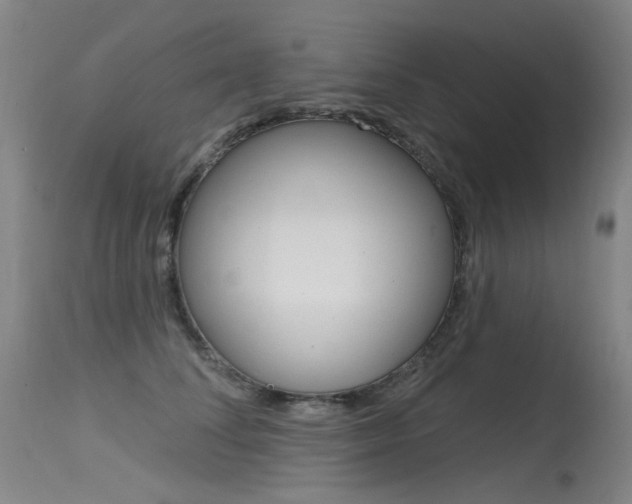 X0000115530708200911061127