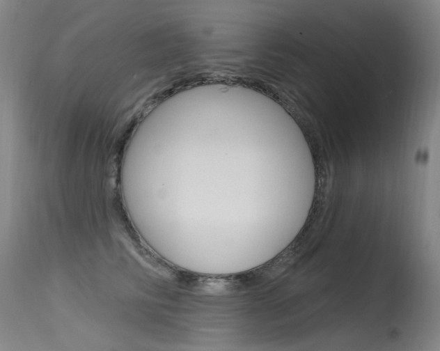 X0000115530710200911061127