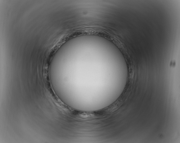 X0000115530712200911061127
