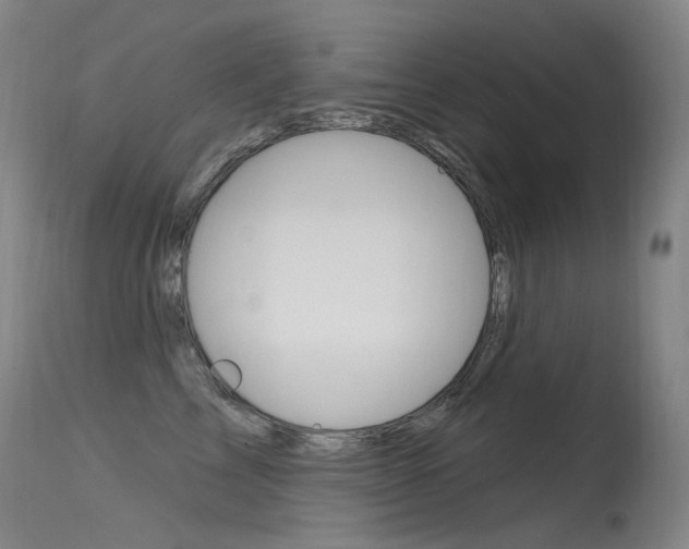 X0000115530713200911061127