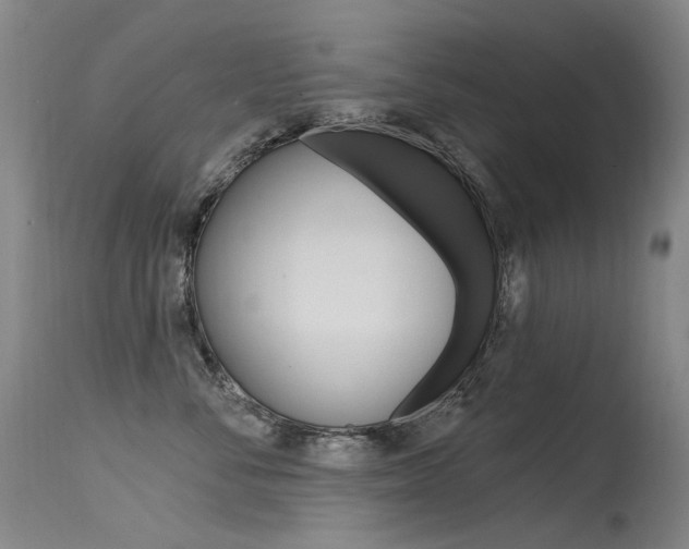 X0000115530716200911061127