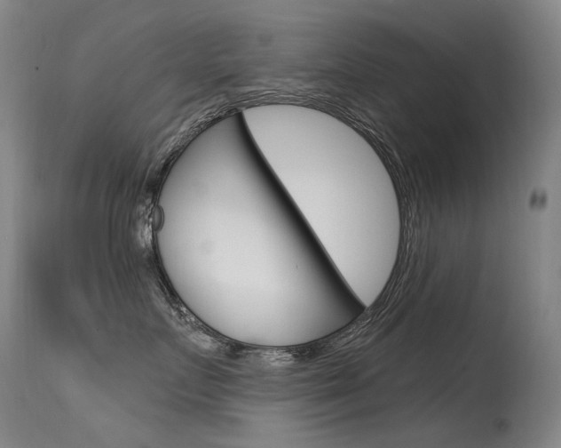 X0000115530719200911061127