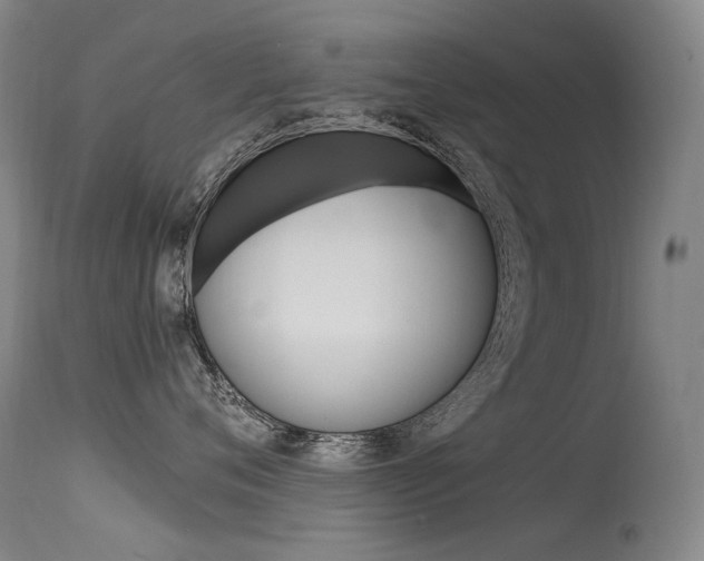 X0000115530720200911061127