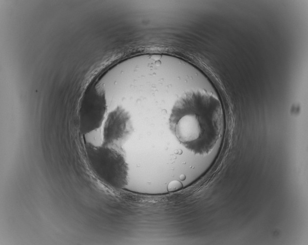 X0000115530721200911061126
