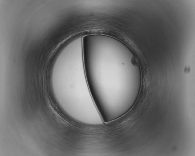 X0000115530722200911061126