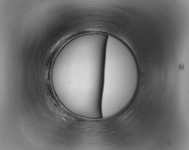 X0000115530723200911061126
