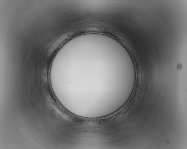 X0000115530729200911061126