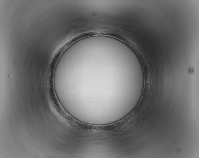 X0000115530730200911061126