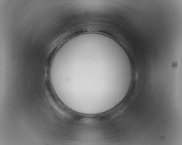 X0000115530733200911061126