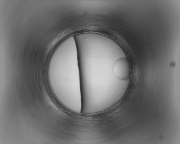 X0000115530734200911061126