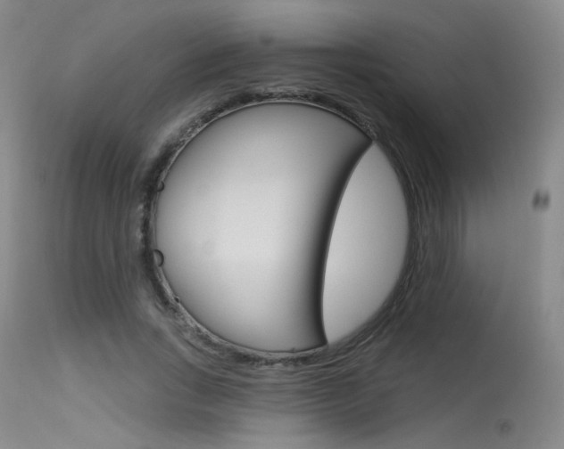 X0000115530735200911061126