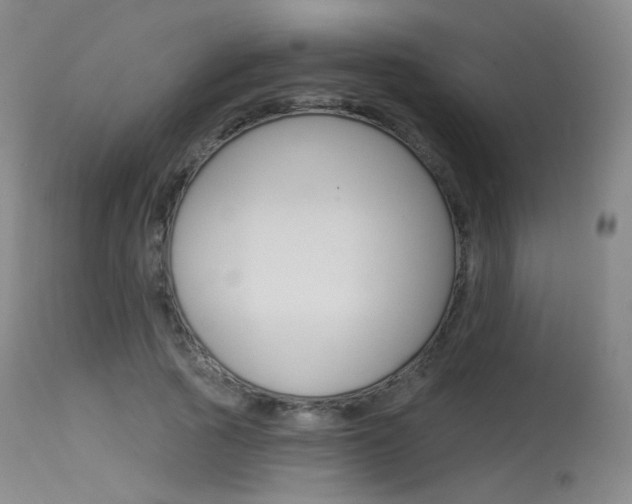 X0000115530737200911061126