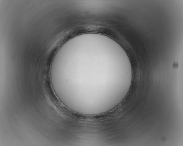 X0000115530738200911061126