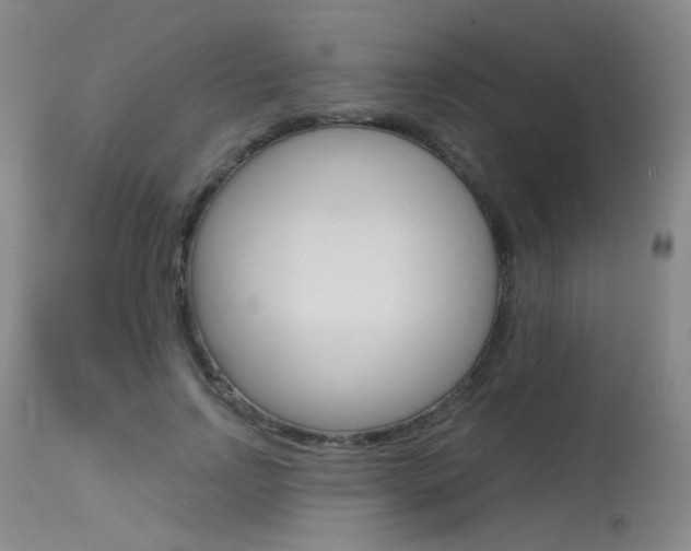 X0000115530742200911061126